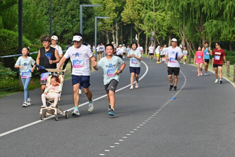 绿地的绿荫, https, 有机会